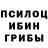 Галлюциногенные грибы GOLDEN TEACHER RedPanda1579