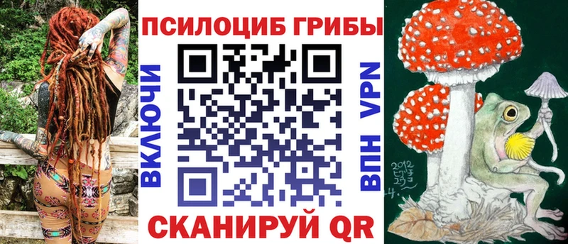 Псилоцибиновые грибы Psilocybe  Верхняя Тура 